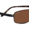 FlightSunglasses Serengeti San Remo Progressive Prescription Sunglasses
