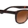 FlightSunglasses Serengeti Anteo Sunglasses