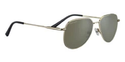 FlightSunglasses Serengeti Haywood Small Sunglasses