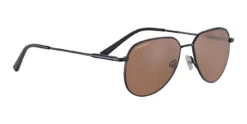 FlightSunglasses Serengeti Haywood Progressive Prescription Sunglasses