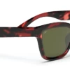 FlightSunglasses Serengeti Rolla Sunglasses