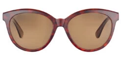 FlightSunglasses Serengeti Endee Sunglasses